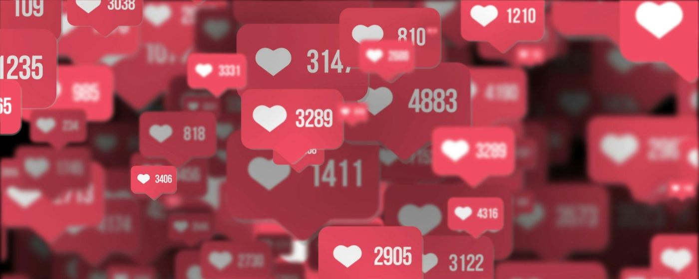 Feed De Collibus